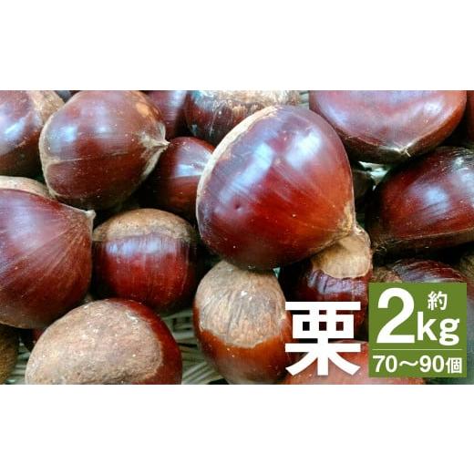 ふるさと納税 熊本県 菊池市 栗 2kg(2L〜Mサイズ) [2024年9月上旬より順次発送予定]くり