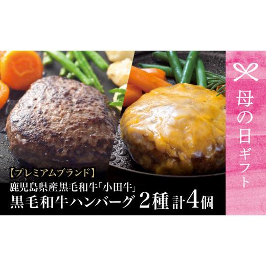 ふるさと納税 牛肉 ハンバーグ 鹿児島県 南さつま市 母の日ギフト プレミアムブランド 鹿児島県産黒毛和牛「小田牛」 牛肉100% 2種類のハンバーグステーキ …