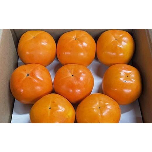 ふるさと納税 果物類 柿 和歌山県 美浜町 富有柿の新品種「紀州てまり」約7.5kg(22玉〜32玉おまかせ)