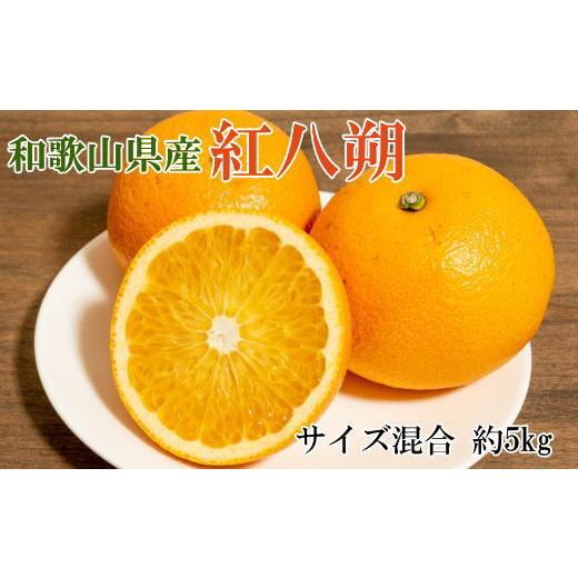 ふるさと納税 みかん・柑橘類 和歌山県 美浜町 希少品 和歌山県産 紅八朔 約5kg(サイズ混合)柑橘 フルーツ はっさく