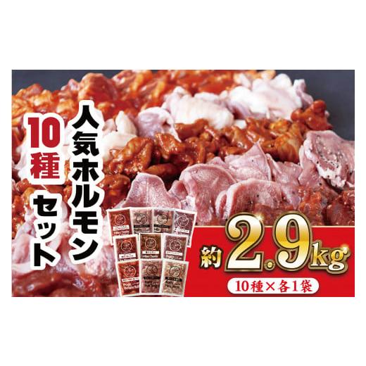 ふるさと納税 長崎県 佐世保市 E374p 工場直送 人気焼肉ホルモン10種