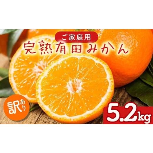 ふるさと納税 果物類 みかん 和歌山県 美浜町 先行予約 ご家庭用 完熟 有田みかん 5.2kg(5kg+200g(傷み補償分)) |有田みかんみかん 濃厚みかん みかんご家庭…