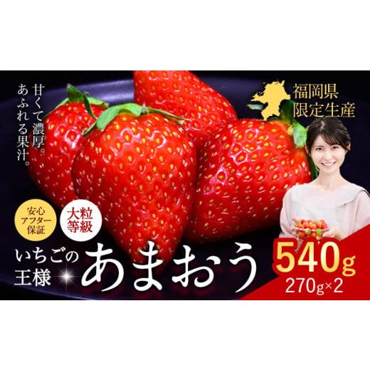 ふるさと納税 いちご 福岡県 小竹町 2026年出荷分 先行予約 あまおう いちご 540g 苺 送料無料 着日指定不可 [2月中旬-4月末頃出荷] イチゴ 果物 フルーツ …