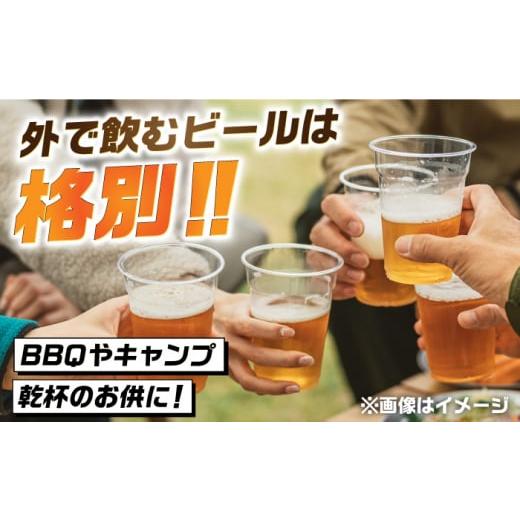 ふるさと納税 ビール 地ビール 佐賀県 吉野ヶ里町  全3回定期便 吉野ヶ里町産クラフトビール GAME BREW CONTINUE?／コンティニュー 350ml×6本セット 計18本 …の画像