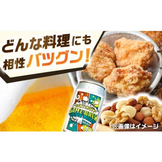 ふるさと納税 ビール 地ビール 佐賀県 吉野ヶ里町  全3回定期便 吉野ヶ里町産クラフトビール GAME BREW CONTINUE?／コンティニュー 350ml×6本セット 計18本 …の画像
