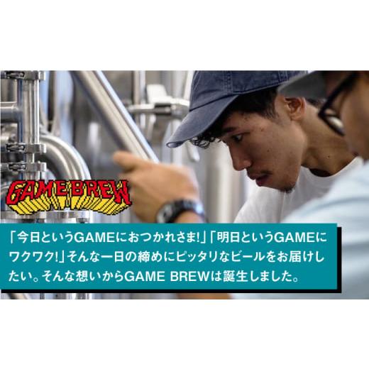 ふるさと納税 ビール 地ビール 佐賀県 吉野ヶ里町  全3回定期便 吉野ヶ里町産クラフトビール GAME BREW CONTINUE?／コンティニュー 350ml×6本セット 計18本 …の画像