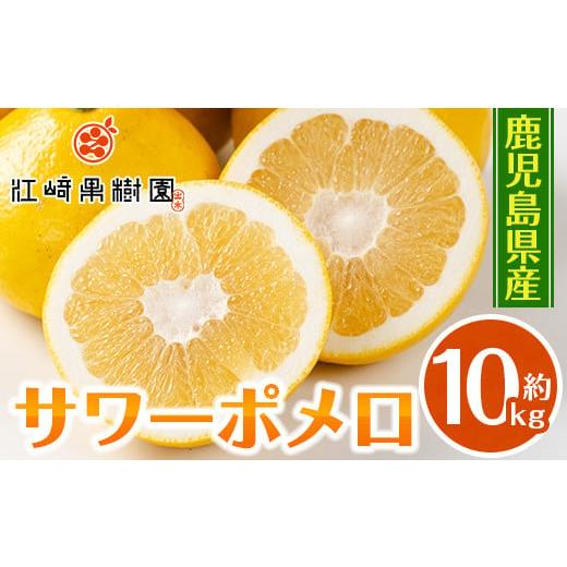 ふるさと納税 みかん・柑橘類 鹿児島県 出水市 i916 2026年3月上旬〜5月下旬の間に発送予定 サワーポメロ(約10kg) 柑橘 サワーポメロ 鹿児島県 国産 果物 フル…