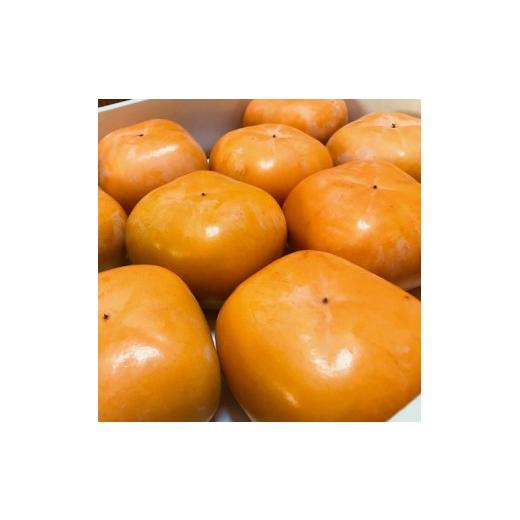 ふるさと納税 果物類 柿 和歌山県 北山村 先行予約 和歌山特産品 クイーンパーシモン 4L〜7Lサイズ 約4kg入り GO-06 2026年10月下旬〜11月上旬頃に順次…