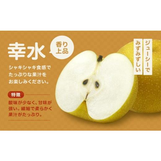 ふるさと納税 梨 長野県 飯田市 南信州産 幸水 約5kg 秀品 \u003c2026年8月下旬〜順次発送\u003e ＪＡみなみ信州ＤＭセンター飯田市 | 幸水 梨 なし ナシ 果物 く…_2