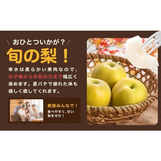 ふるさと納税 梨 長野県 飯田市 南信州産 幸水 約5kg 秀品 \u003c2026年8月下旬〜順次発送\u003e ＪＡみなみ信州ＤＭセンター飯田市 | 幸水 梨 なし ナシ 果物 く…_4