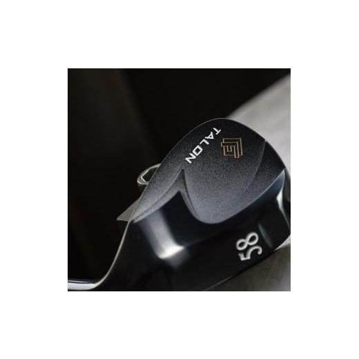 ふるさと納税 ゴルフグッズ クラブ 兵庫県 市川町 FG.TALONウェッジ　TW-202(DG S200) ロフト角56度 132BE02N. 56度_1