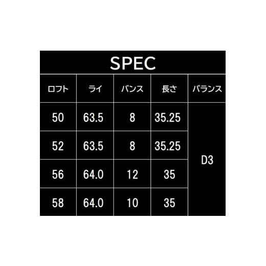 ふるさと納税 ゴルフグッズ クラブ 兵庫県 市川町 FG.TALONウェッジ　TW-202(DG S200) ロフト角56度 132BE02N. 56度_4