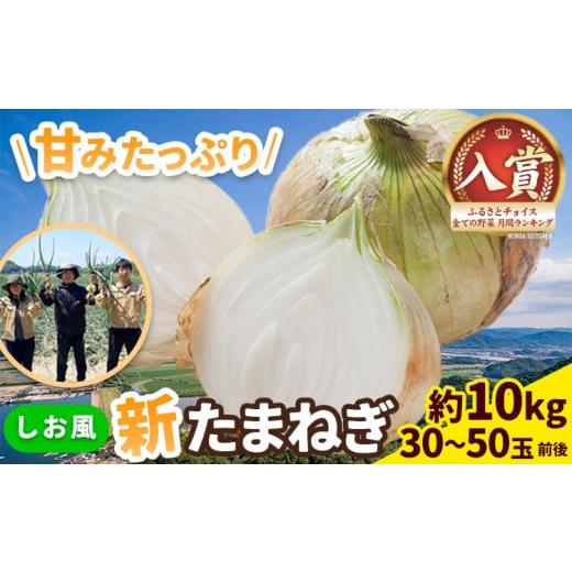 ふるさと納税 野菜類 玉ねぎ 岡山県 笠岡市 新玉ねぎ 2026年先行予約 しお風新たまねぎ 約10kg [5月中旬-6月上旬頃出荷] 玉ねぎ 新たまねぎ 玉葱 たまねぎ …