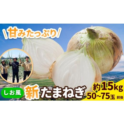 ふるさと納税 野菜類 玉ねぎ 岡山県 笠岡市 新玉ねぎ 2026年先行予約 しお風新たまねぎ 約15kg [5月中旬-6月上旬頃出荷] 玉ねぎ 新たまねぎ 玉葱 たまねぎ …