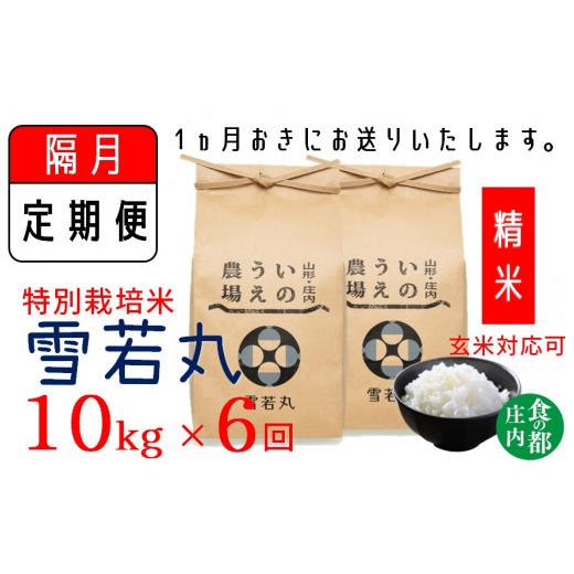 ふるさと納税 米 山形県 三川町 隔月定期便6回 精米 井上農場の特別栽培米 雪若丸10kg×6回(計60kg) 精米 隔月6回