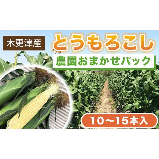 ふるさと納税 とうもろこし 千葉県 木更津市 先行予約 木更津産とうもろこし 農園おまかせパック約5キロ(10〜15本入) ふるさと納税 とうもろこし トウ…
