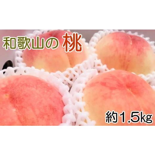 ふるさと納税 和歌山県 新宮市 【産直・人気の特産品】和歌山の桃　約1.5kg  ※2024年6月下旬頃から8月上旬頃順次発送｜furusatochoice｜02