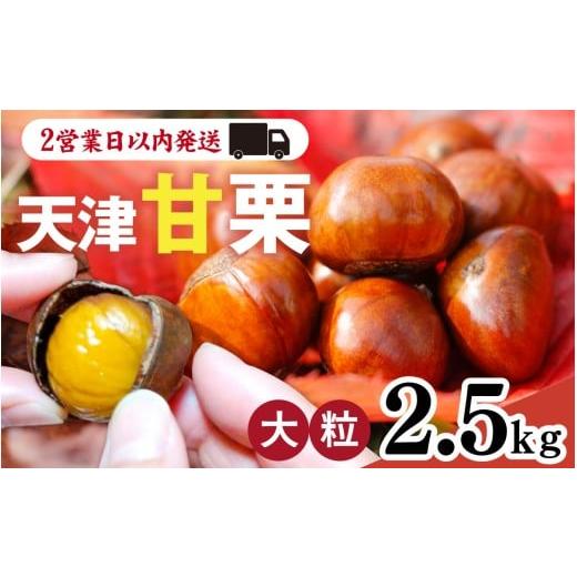 ふるさと納税 果物類 栗 兵庫県 - 天津甘栗 2.5kg ／ 甘栗 兵庫 特選
