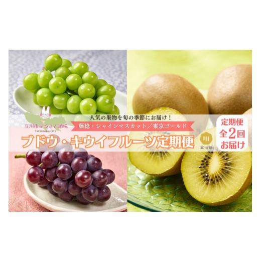 ふるさと納税 ぶどう マスカット 東京都 立川市 ブドウ・キウイフルーツ定期便(2ヶ月:全2回)