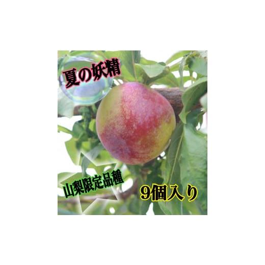 ふるさと納税 果物類 山梨県 甲州市 山梨限定すもも品種幸せジューシーサマーエンジェル9個入り生産者直送 2026年発送 (ISI)A09-801 サマーエンジェル すも…