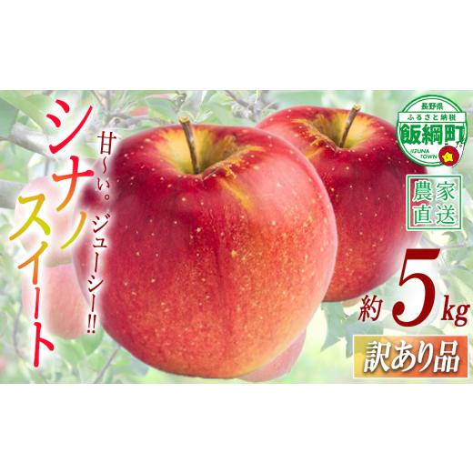 ふるさと納税 りんご 長野県 飯綱町 りんご シナノスイート 訳あり 5kg 渡辺農園 沖縄県への配送不可 2026年10月中旬頃から2026年10月下旬頃まで順次発送予定 …