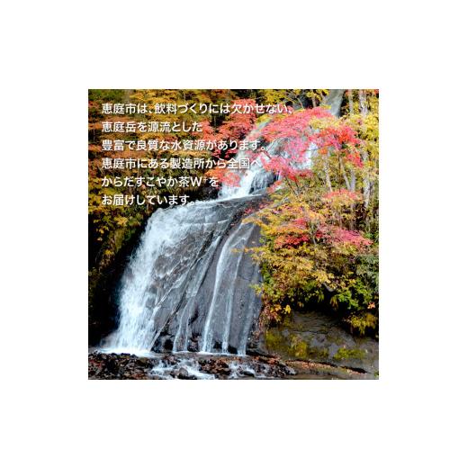 ふるさと納税 お茶類 北海道 恵庭市  定期便：3回（隔週発送） からだすこやか茶W+350mlPET×24本 コカ・コーラ からだすこやか茶 お茶 トクホ 特保 北海道 ふ…の画像