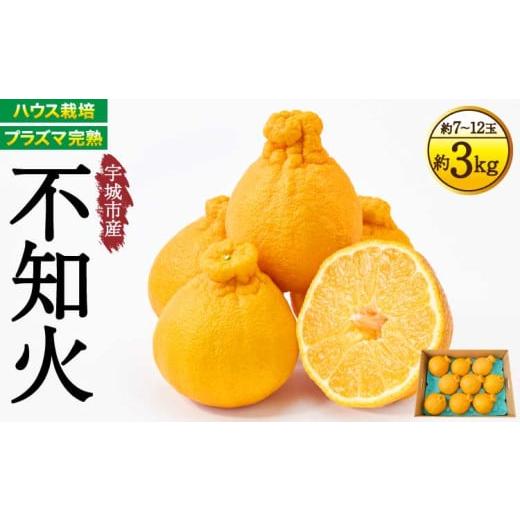 ふるさと納税 みかん・柑橘類 デコポン 熊本県 宇城市 先行予約 不知火 2026年3月上旬~2026年4月上旬頃発送予定 宇城市産 ハウス栽培 プラズマ完熟不知火 約3k…