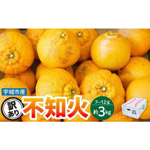 ふるさと納税 みかん・柑橘類 デコポン 熊本県 宇城市 先行予約 訳あり 不知火 約3kg(7〜12玉前後) 2026年3月上旬~2026年4月上旬頃発送予定 しらぬい みかん…