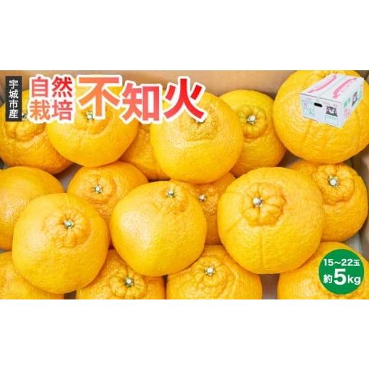 ふるさと納税 みかん・柑橘類 デコポン 熊本県 宇城市 先行予約 不知火 自然栽培不知火 約5kg(15〜22玉) 2026年3月上旬~2026年4月上旬頃発送予定 みかん 蜜…
