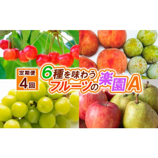 ふるさと納税 果物類 さくらんぼ 山形県 山形市 定期便4回 6種を味わうフルーツの楽園A 令和8年産先行予約 FS25-623 くだもの 果物 フルーツ 山形 山形県 …