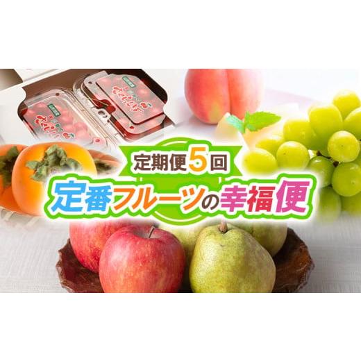 ふるさと納税 果物類 さくらんぼ 山形県 山形市 定期便5回 定番フルーツの幸福便 令和8年産先行予約 FS25-624 くだもの 果物 フルーツ 山形 山形県 山形市 20…