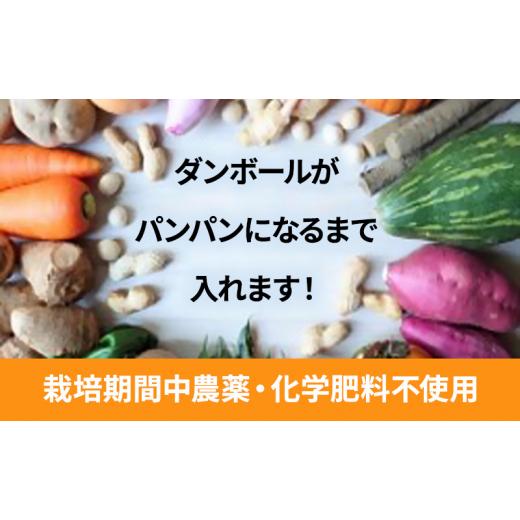 ふるさと納税 セット・詰合せ 千葉県 千葉市 2〜4名様向け／野菜6種に加工品をプラス No.5346-0568の画像