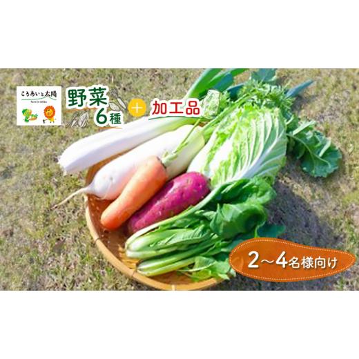 ふるさと納税 セット・詰合せ 千葉県 千葉市 2〜4名様向け／野菜6種に加工品をプラス No.5346-0568の画像