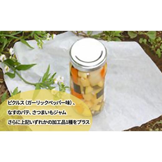 ふるさと納税 セット・詰合せ 千葉県 千葉市 2〜4名様向け／野菜6種に加工品をプラス No.5346-0568の画像