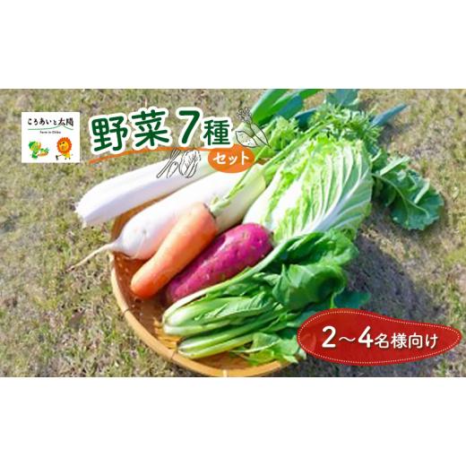 ふるさと納税 セット・詰合せ 千葉県 千葉市 2〜4名様向け／旬の野菜7種セット No.5346-0570の画像