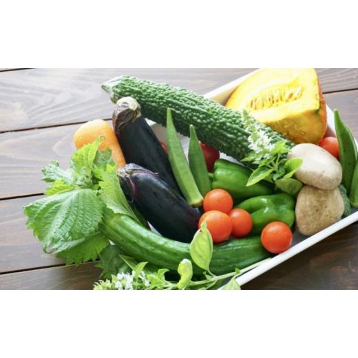 ふるさと納税 セット・詰合せ 千葉県 千葉市 2〜4名様向け／旬の野菜7種セット No.5346-0570の画像