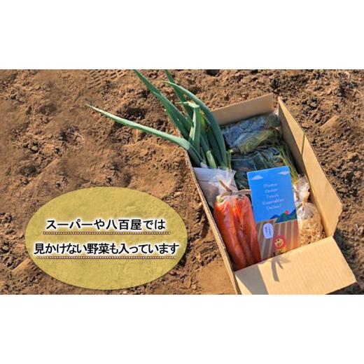 ふるさと納税 セット・詰合せ 千葉県 千葉市 2〜4名様向け／旬の野菜7種セット No.5346-0570の画像