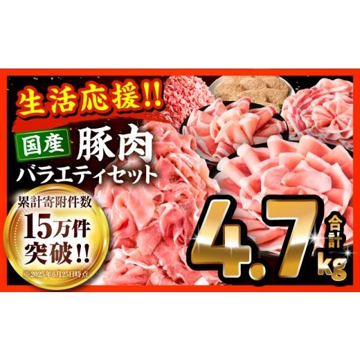ふるさと納税 肉 宮崎県 宮崎市 2026年5月発送 大満足豚肉ロースバラエティセット4.7kg(真空パック)_M132-094-PU-UP-may 20,000円 4.7kg 2026年5月発送予定