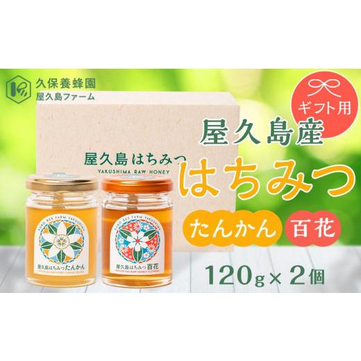 ふるさと納税 加工品等 はちみつ 鹿児島県 屋久島町  ギフト用 屋久島産 はちみつ（たんかん・百花）120g×2個 久保養蜂園 屋久島ファームの画像