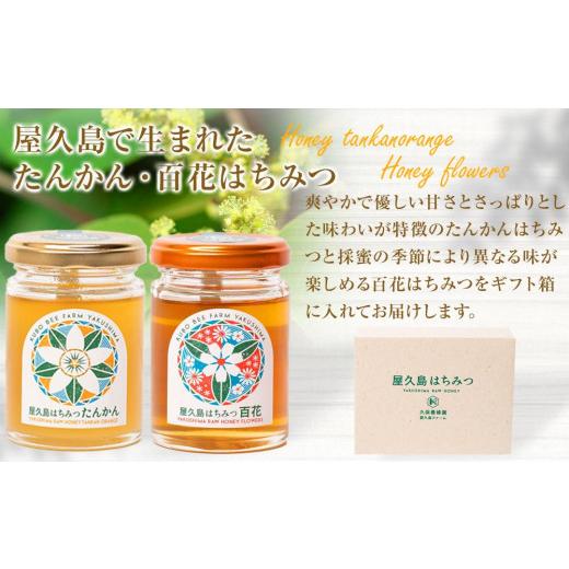 ふるさと納税 加工品等 はちみつ 鹿児島県 屋久島町  ギフト用 屋久島産 はちみつ（たんかん・百花）120g×2個 久保養蜂園 屋久島ファームの画像