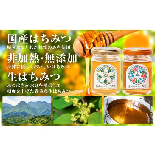 ふるさと納税 加工品等 はちみつ 鹿児島県 屋久島町  ギフト用 屋久島産 はちみつ（たんかん・百花）120g×2個 久保養蜂園 屋久島ファームの画像