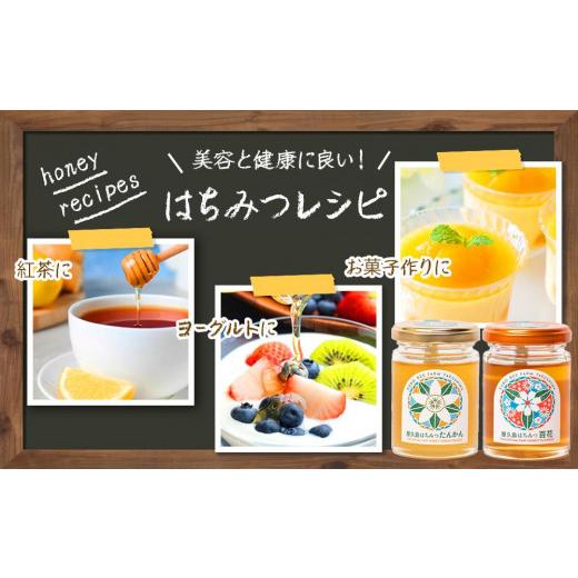 ふるさと納税 加工品等 はちみつ 鹿児島県 屋久島町  ギフト用 屋久島産 はちみつ（たんかん・百花）120g×2個 久保養蜂園 屋久島ファームの画像