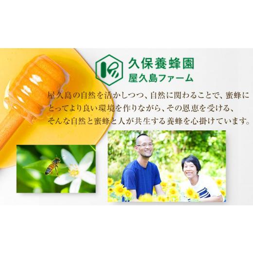 ふるさと納税 加工品等 はちみつ 鹿児島県 屋久島町  ギフト用 屋久島産 はちみつ（たんかん・百花）120g×2個 久保養蜂園 屋久島ファームの画像