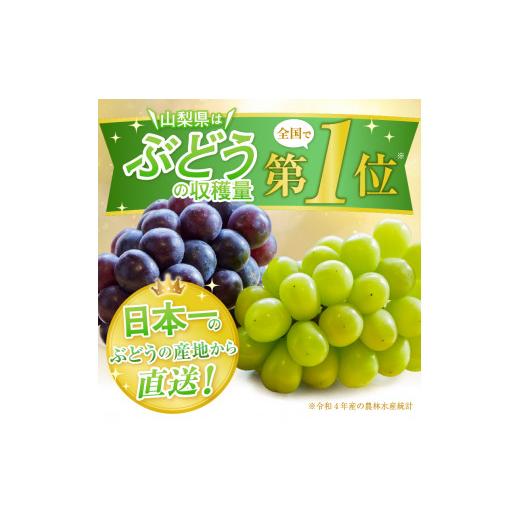 ふるさと納税 ぶどう マスカット 山梨県 甲州市 山梨県甲州市産 シャインマスカット 約2.4kg（3〜4房）／Inakakara 2026年発送 （ACP）C9-890 シャインマスカ…の画像