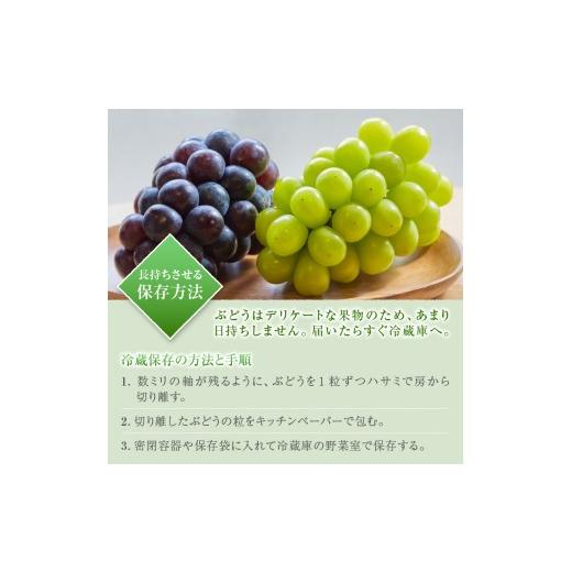 ふるさと納税 ぶどう マスカット 山梨県 甲州市 山梨県甲州市産 シャインマスカット 約2.4kg（3〜4房）／Inakakara 2026年発送 （ACP）C9-890 シャインマスカ…の画像