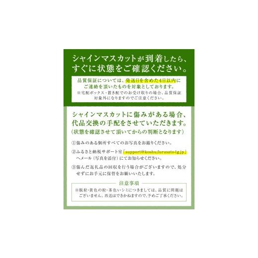 ふるさと納税 ぶどう マスカット 山梨県 甲州市 山梨県甲州市産 シャインマスカット 約2.4kg（3〜4房）／Inakakara 2026年発送 （ACP）C9-890 シャインマスカ…の画像