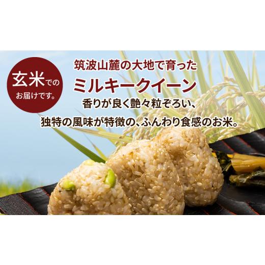 ふるさと納税 米 ミルキークイーン 茨城県 土浦市 令和7年産 茨城県産 ミルキークイーン 玄米 2kg×10袋｜このお米は石抜き機、色彩選別機の処理済みです 離島…の画像