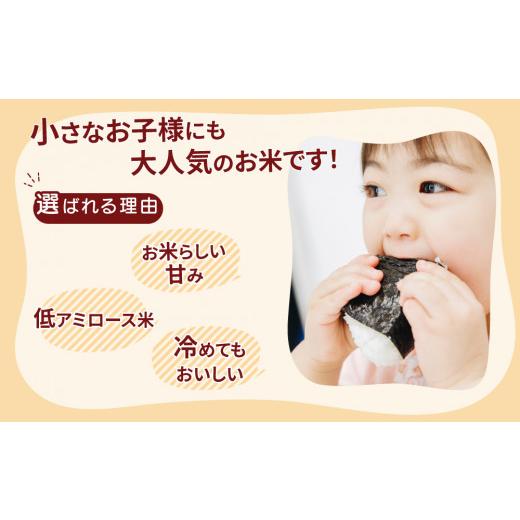 ふるさと納税 米 ミルキークイーン 茨城県 土浦市 令和7年産 茨城県産 ミルキークイーン 玄米 2kg×10袋｜このお米は石抜き機、色彩選別機の処理済みです 離島…の画像