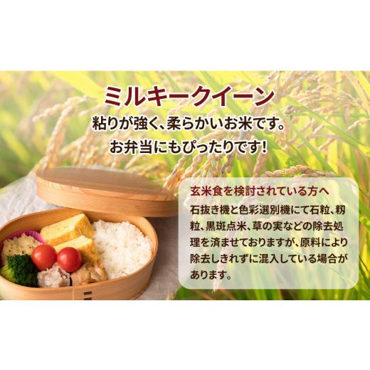 ふるさと納税 米 ミルキークイーン 茨城県 土浦市 令和7年産 茨城県産 ミルキークイーン 玄米 2kg×10袋｜このお米は石抜き機、色彩選別機の処理済みです 離島…の画像