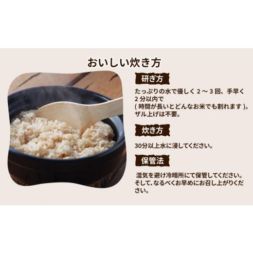 ふるさと納税 米 ミルキークイーン 茨城県 土浦市 令和7年産 茨城県産 ミルキークイーン 玄米 2kg×10袋｜このお米は石抜き機、色彩選別機の処理済みです 離島…の画像